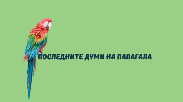 Мотивация, мениджър